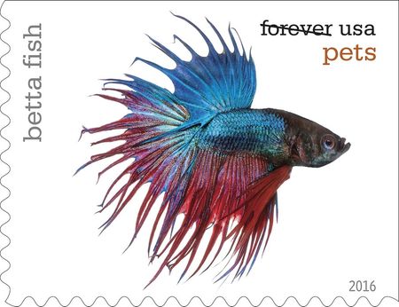 100 Tropical Fish Forever Stamps Unused Betta Fish Postage For Mailing